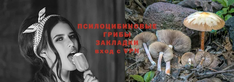 купить закладку  Скопин  Галлюциногенные грибы MAGIC MUSHROOMS 